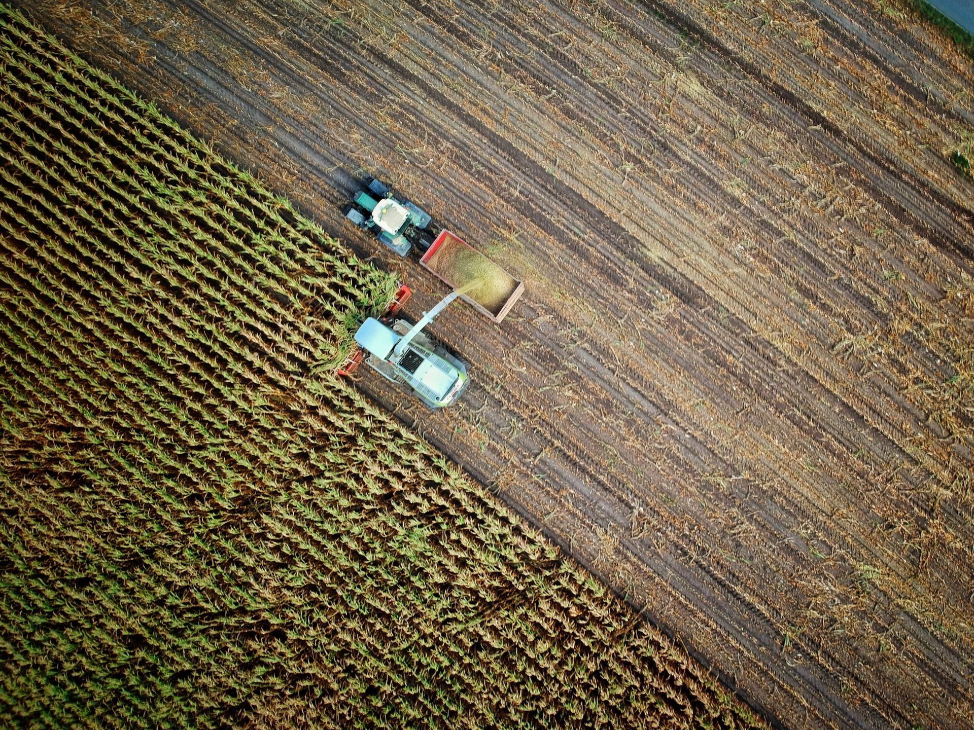 Mental Health Demands of Farmers and Agricultural Workers