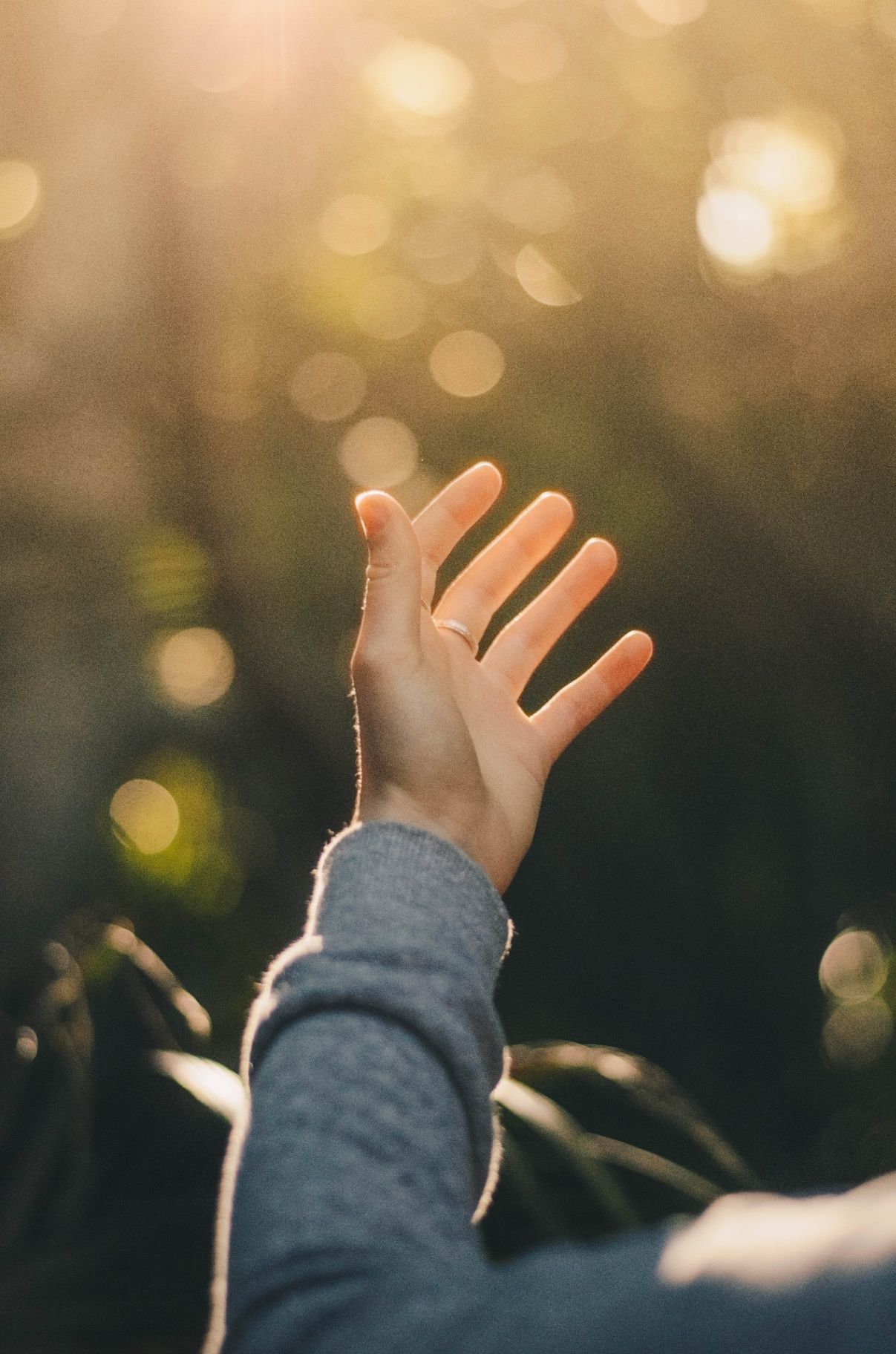 Moving towards Gratitude