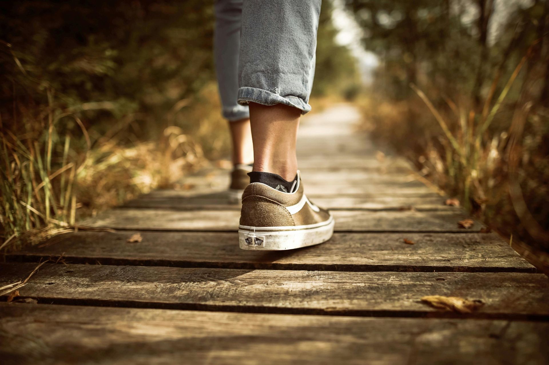 What to Expect Starting Therapy at Montana Center for Somatic Psychotherapy