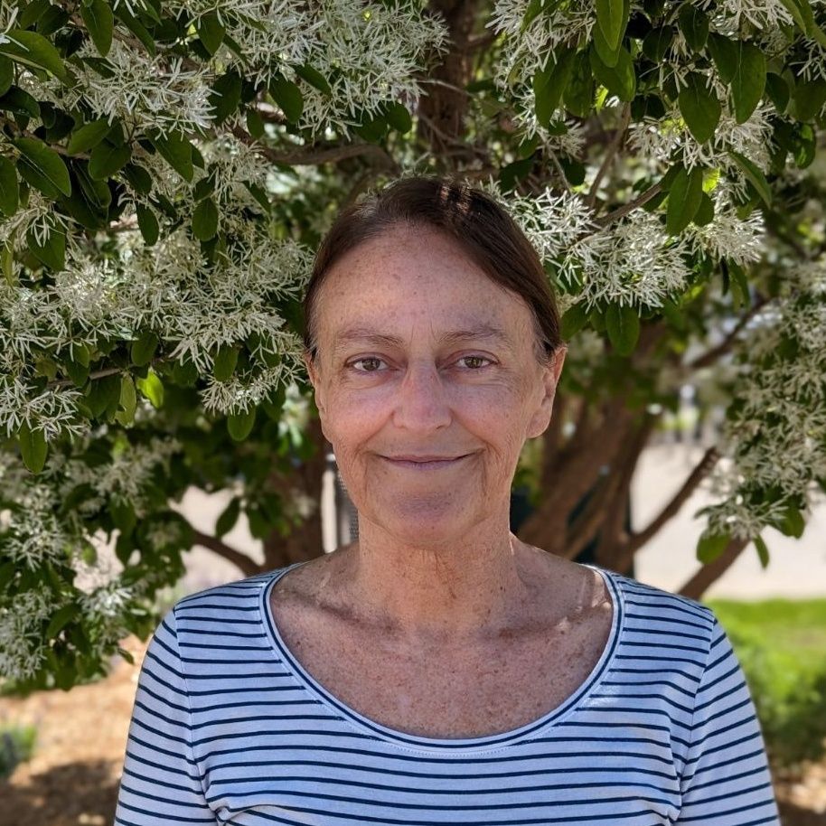 Maria Strong, LSCSW
