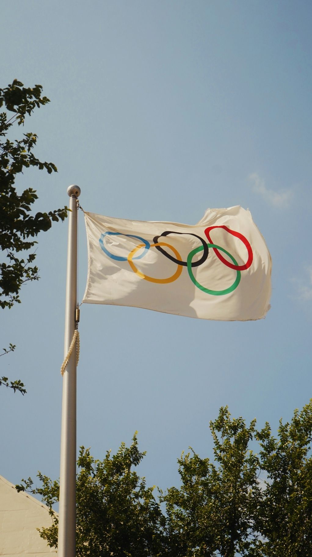 The Emotional Arena: What the Olympics Teach Us About the Highly Sensitive Soul