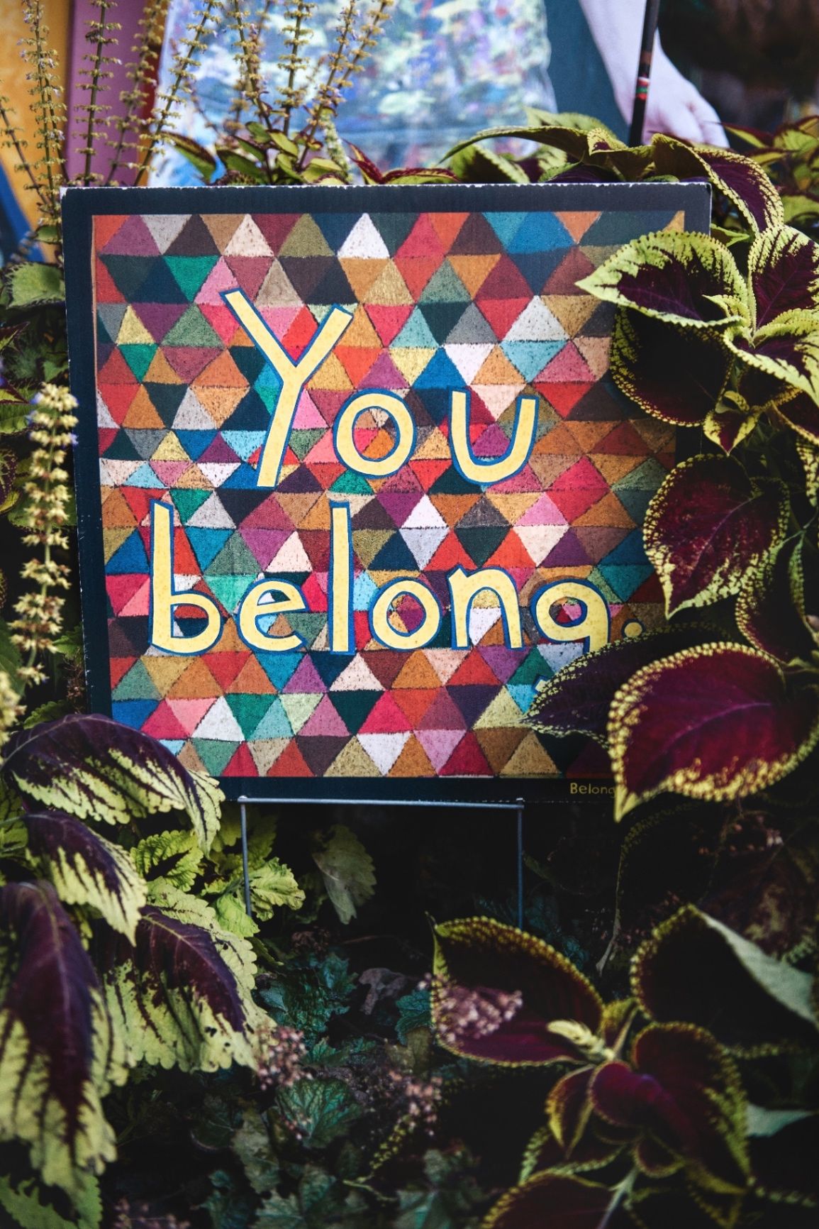 Cultivating a Sanctuary: Why Safety and Inclusivity are the Heart of Stride Forward Counseling