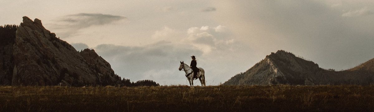 banner image