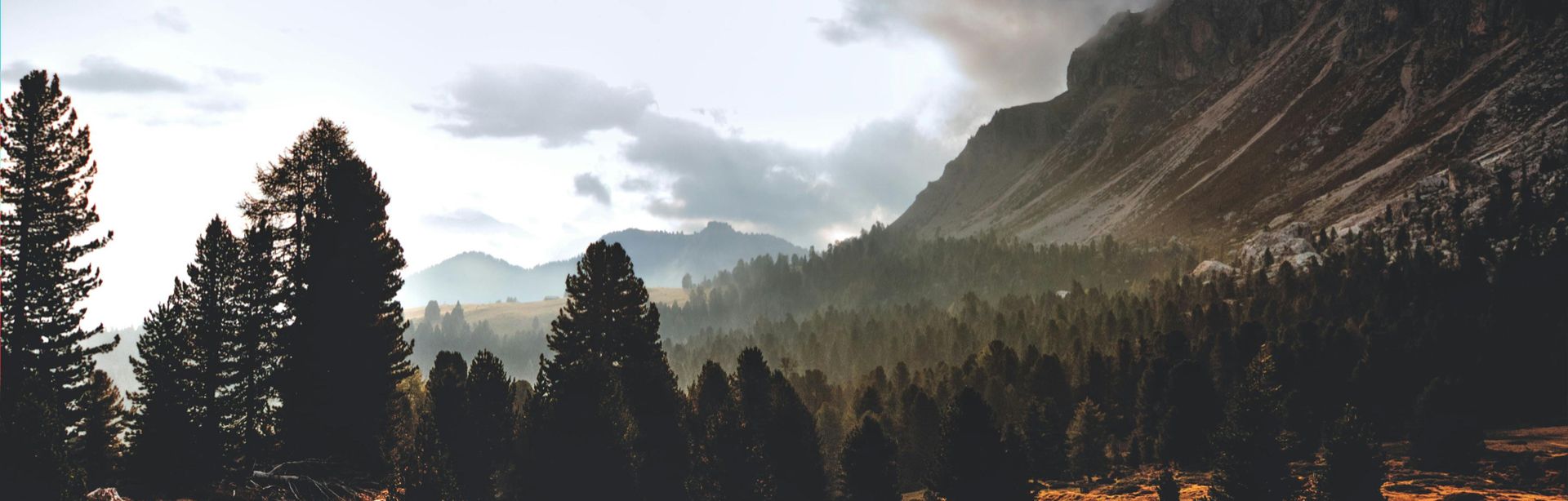 banner image
