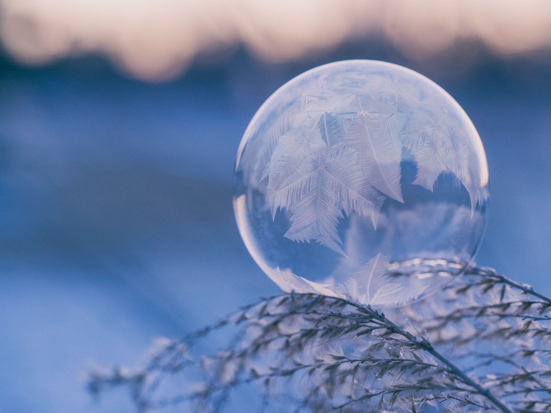 Is it just the “Winter Blues,” or is nature trying to tell you something?