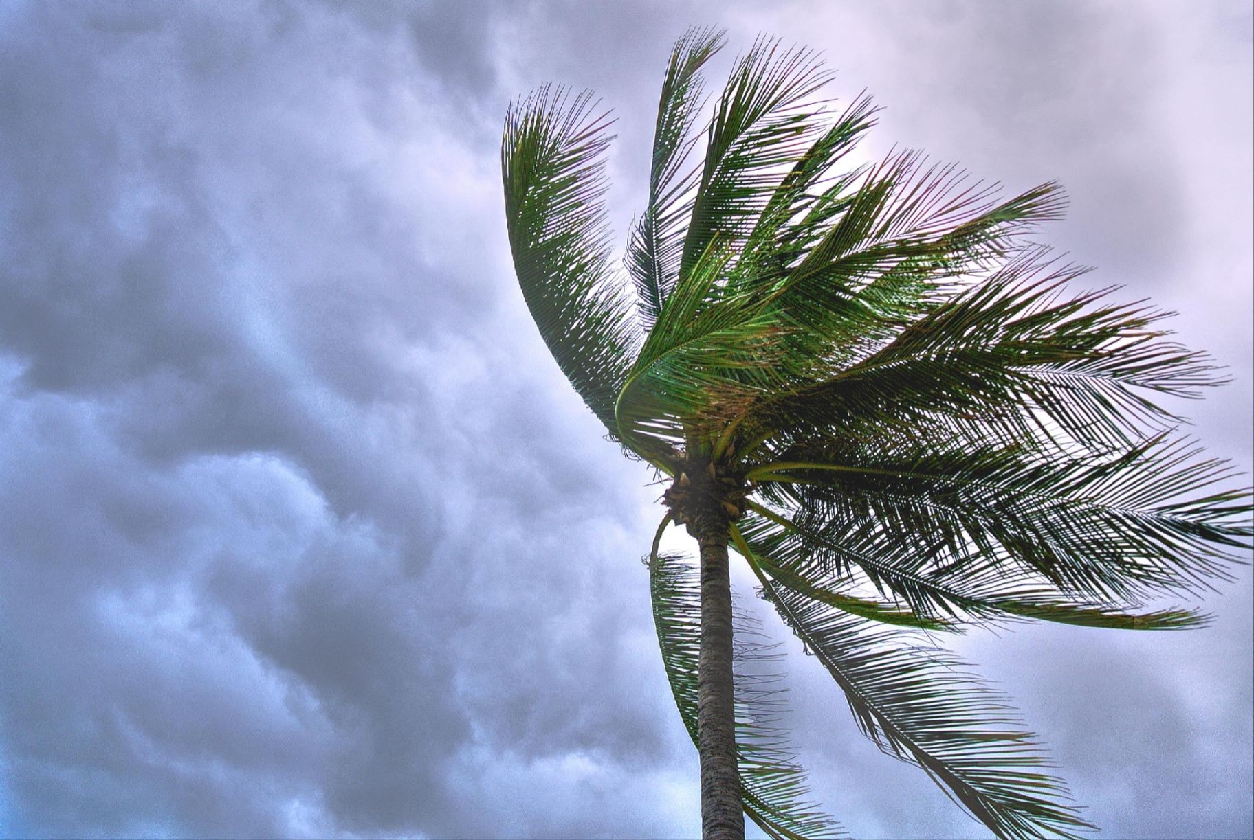 Navigating the Storm: Stress Management Strategies for a Balanced Life