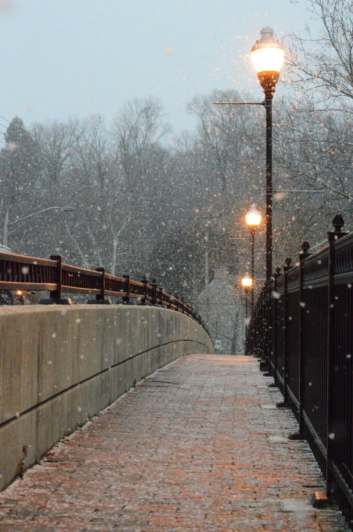 Seasonal Depression: Understanding the Winter Blues and How Therapy Can Help