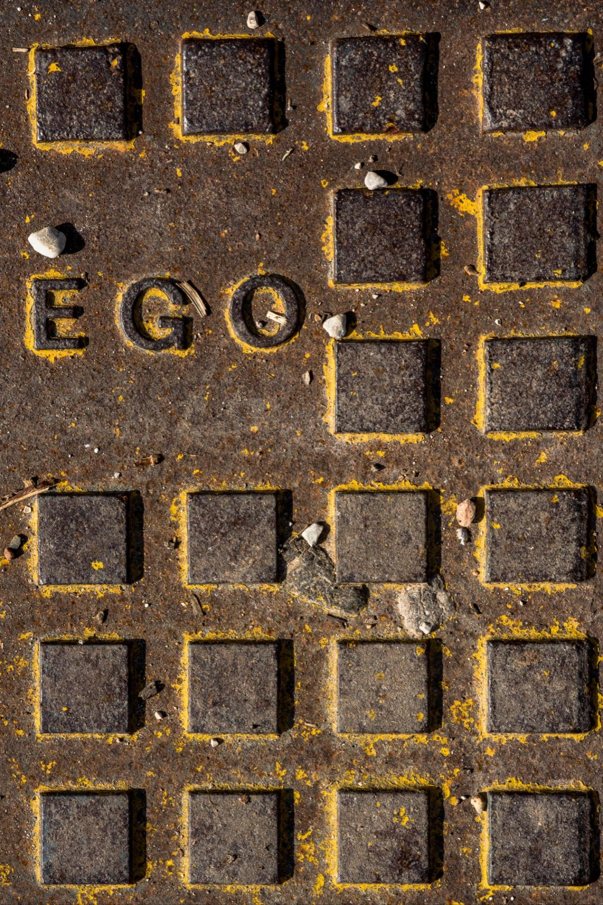 Taming the Ego Monster: How to Stop Your Ego from Running Your Life