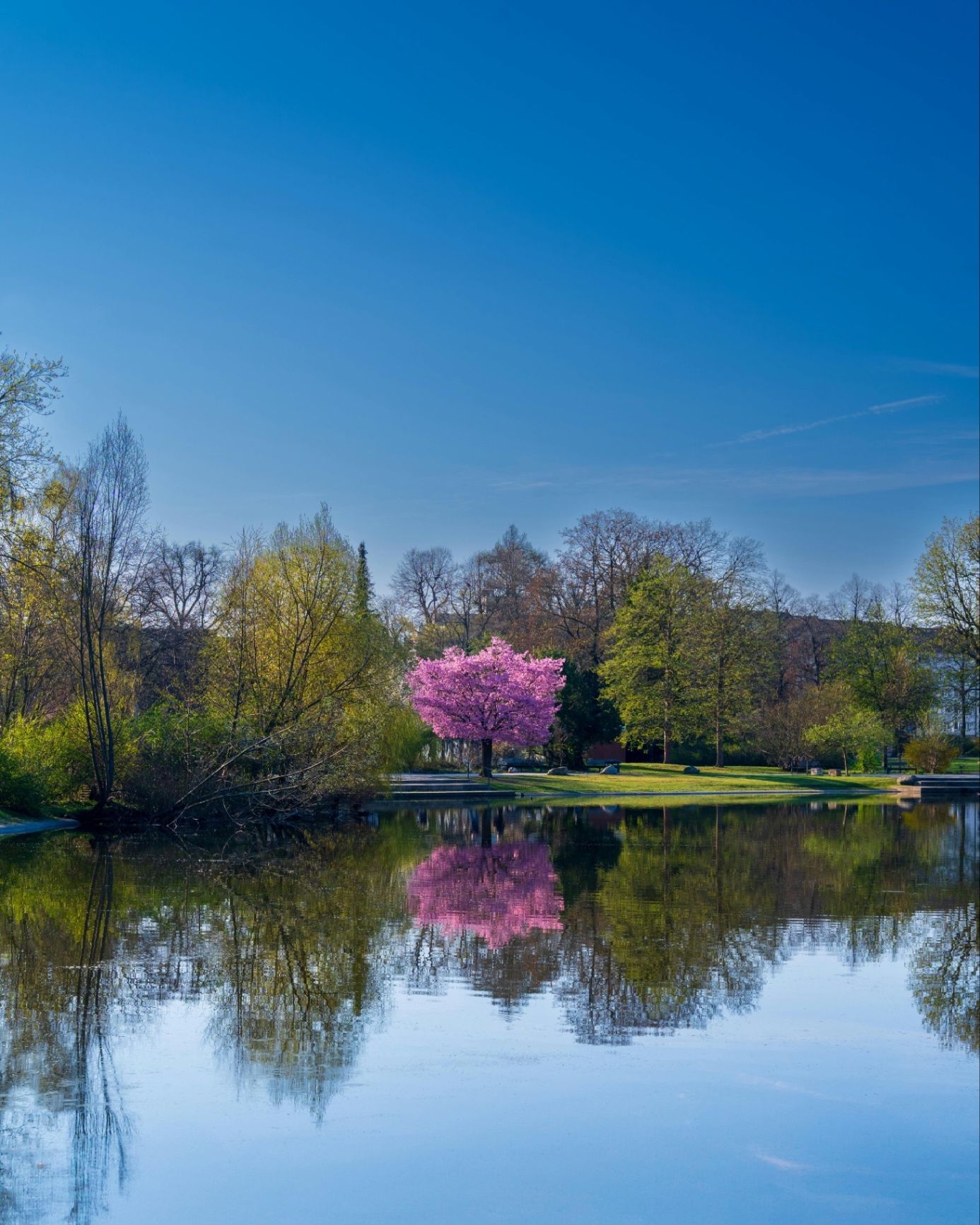 Springing Into Your Best Self: Why Growth Starts Now in Maryland