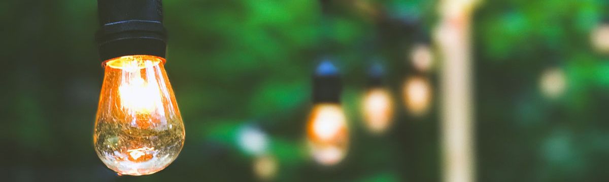 banner image