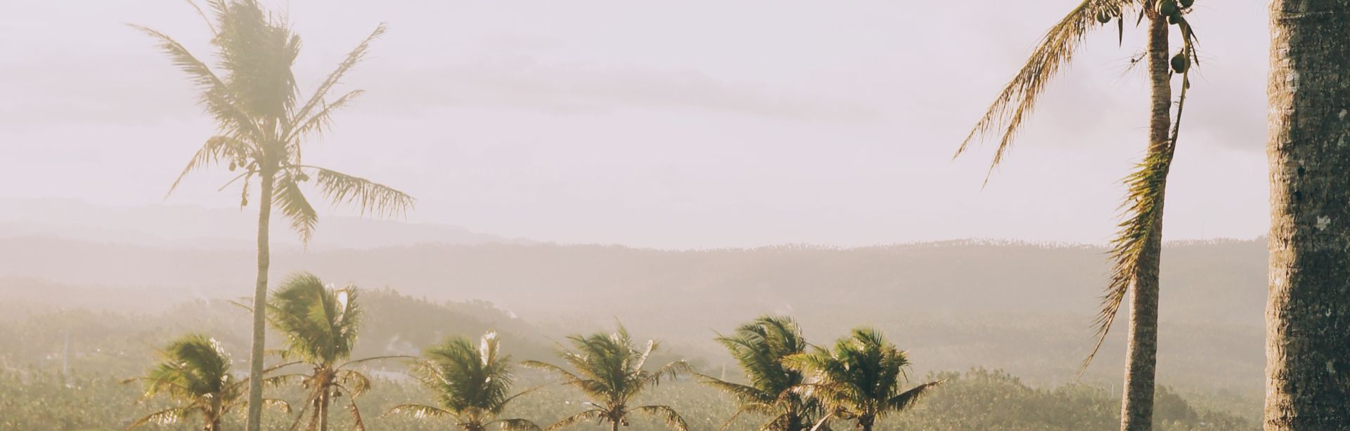 banner image