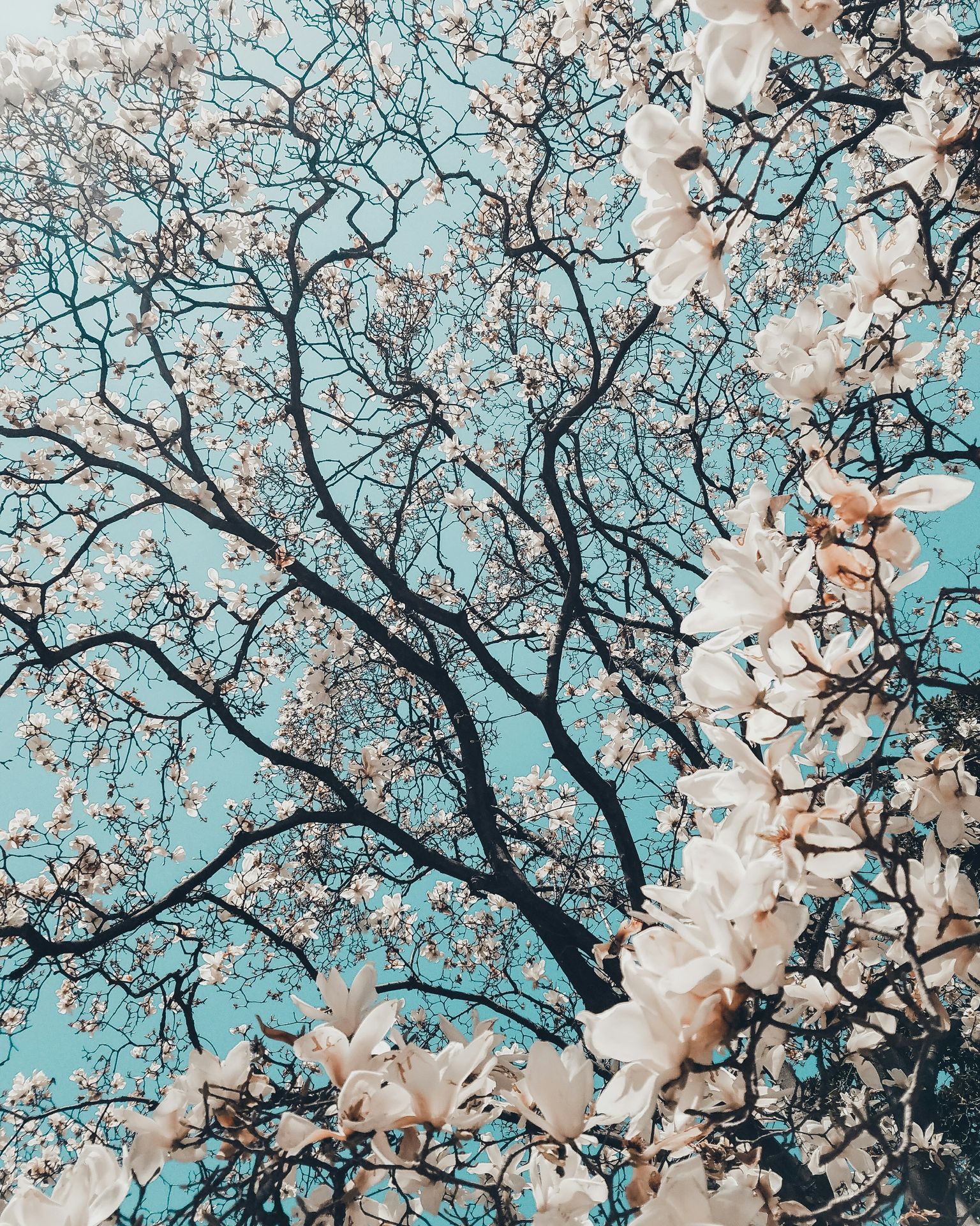 banner image
