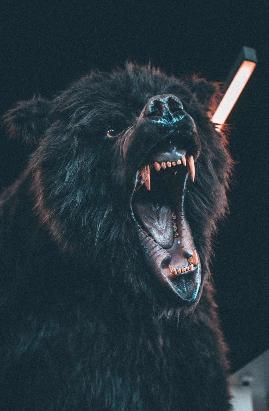 How to Control Your Anger