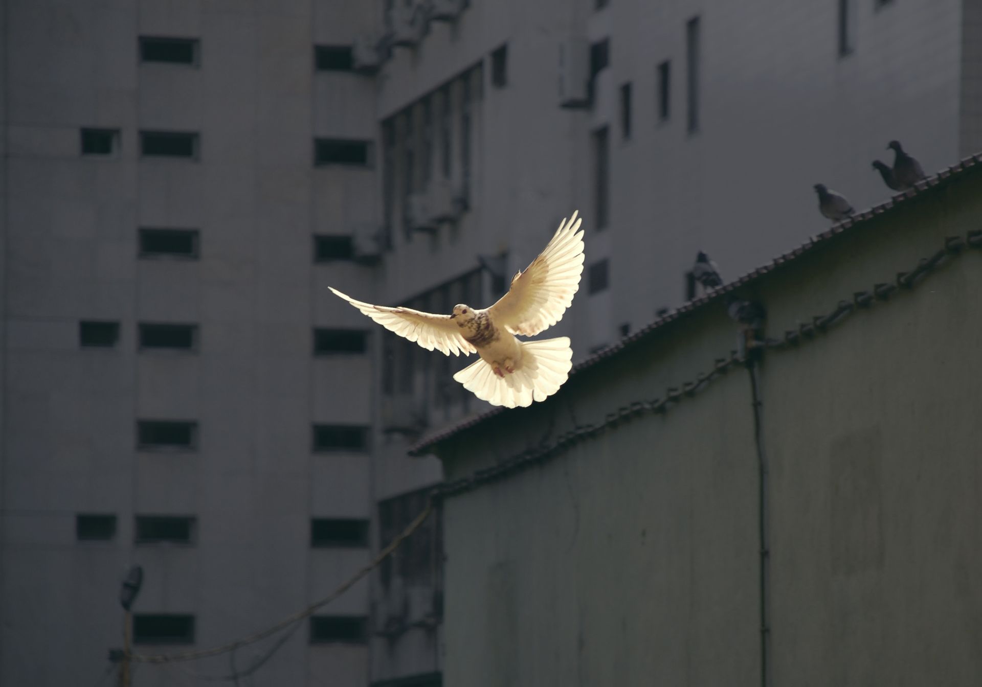 Contemplative Spaces: The Connection Between Prayer and Mindfulness