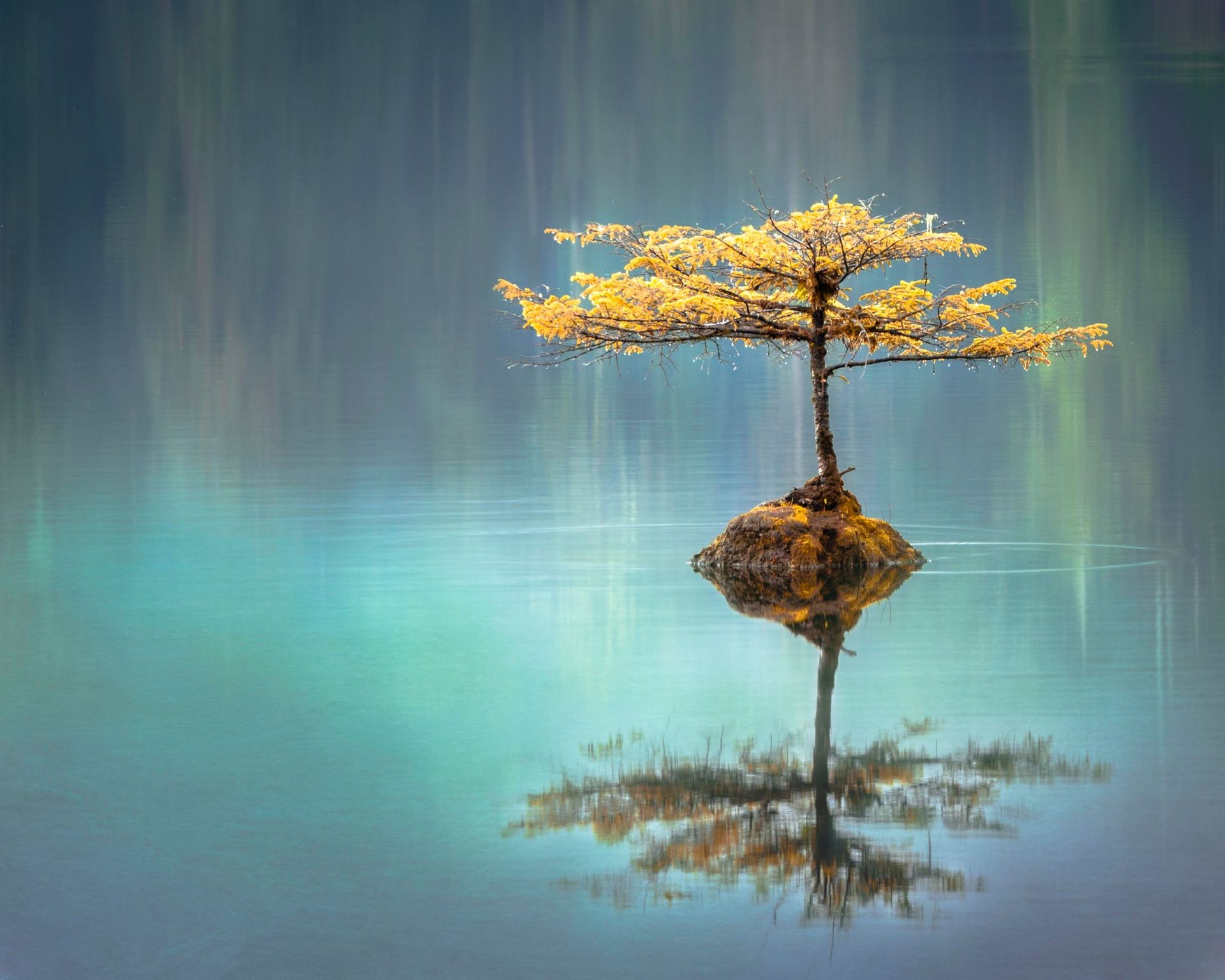 The Amazing Benefits of Meditation