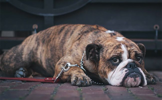 Do I Have PTSD? Recognizing the Signs