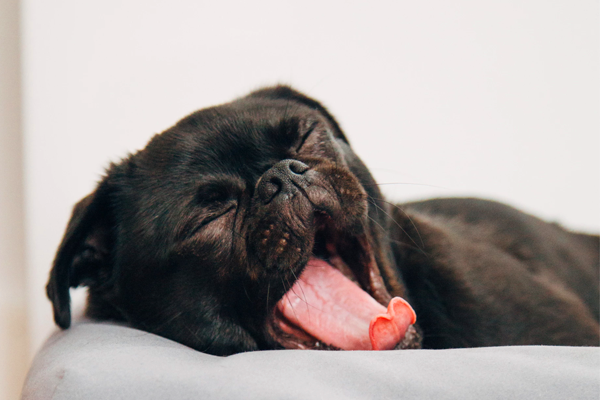 Get Some Sleep! 5 Tips for Busting Through Your Insomnia