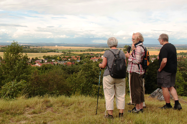 Let's Go for a Walk: How Regular Exercise Can Aid Mental Health