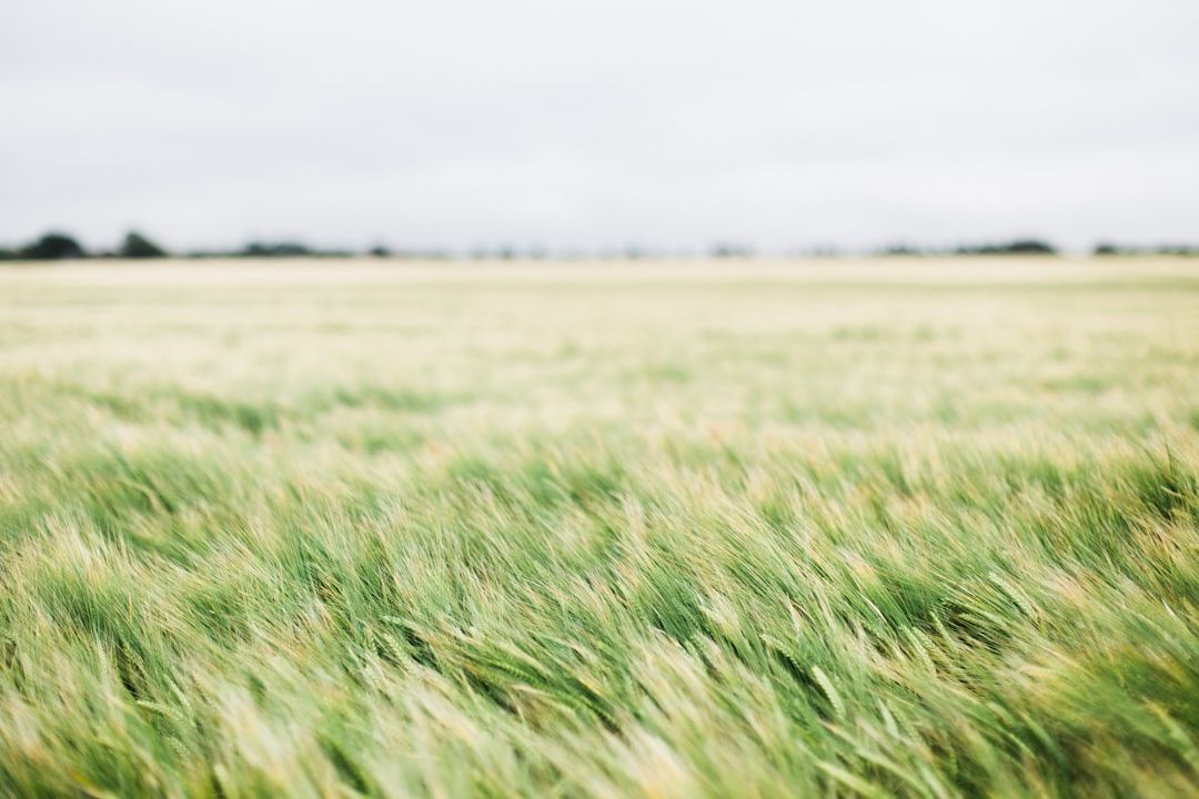 What the Heck Is “Breathwork”? Beginning Your Mindfulness Journey